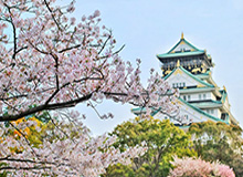  巴勒莫意乙冲甲失败，主席宣布重建计划  